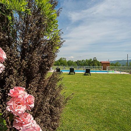 Agriturismo Il Musaccio بارغا المظهر الخارجي الصورة